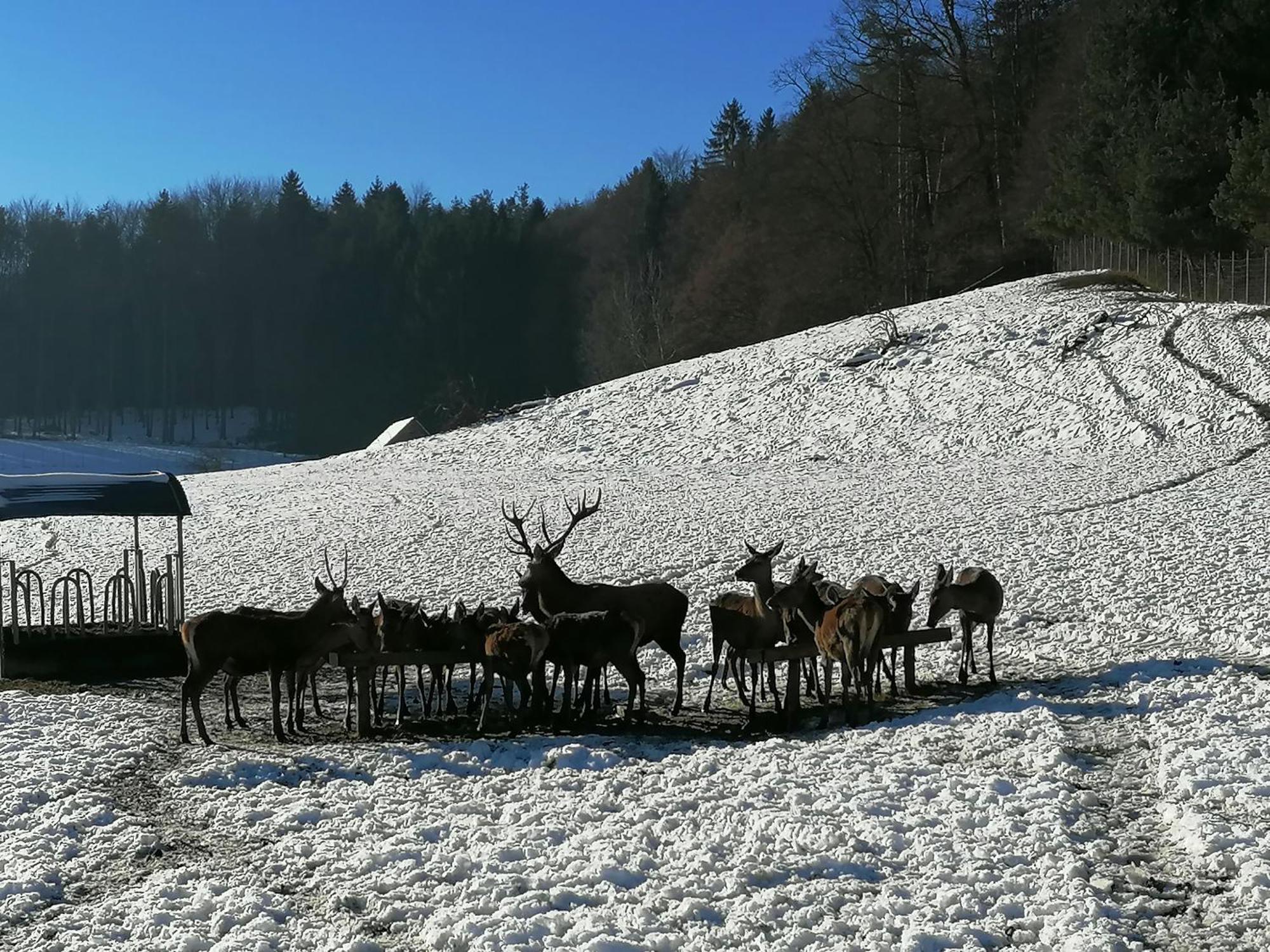 Am Jaukhof Familie Stiendl Villa Neudorf im Sausal Eksteriør bilde
